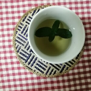 清涼感 生葉deミントティー レシピ 作り方 By Tactac 楽天レシピ 清涼感 生葉deミントティー レシピ 作り方 By Tactac 楽天レシピ